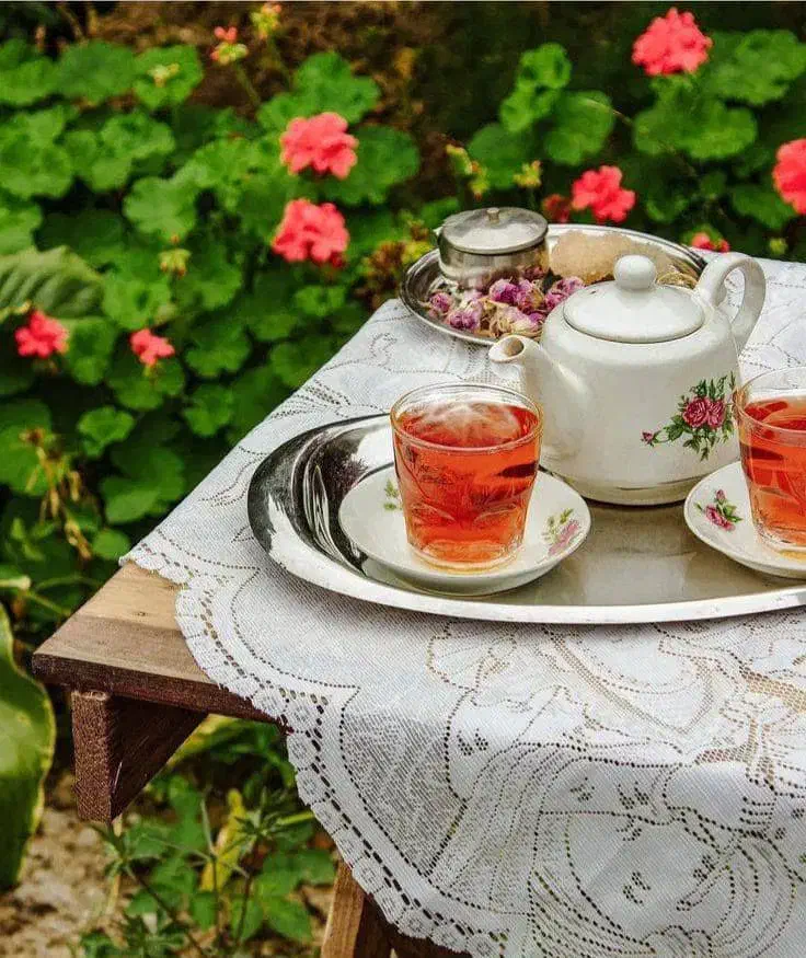 اجاره سوئیت سنتی|اجارهٔ کوتاهمدت آپارتمان و سوئیت|شیراز, شاهچراغ|دیوار