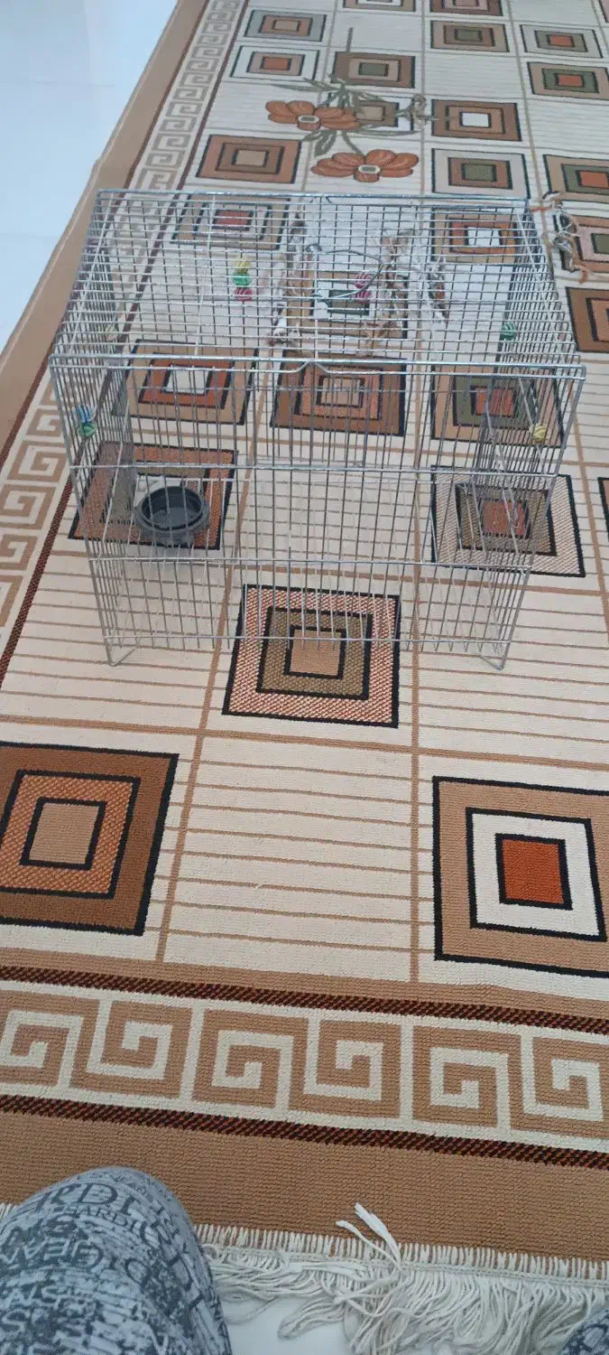 قفس|لوازم جانبی حیوانات|شاهینشهر, گرگاب|دیوار