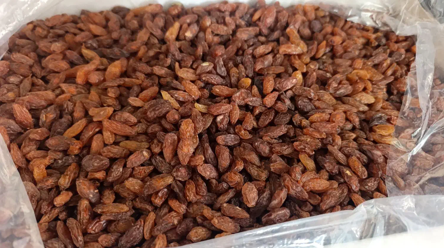 کشمش|خوردنی و آشامیدنی|سبزوار, فیاض|دیوار