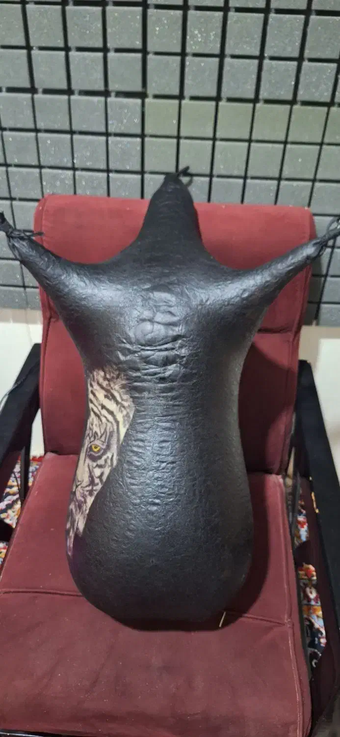 نی انبان|سازهای بادی|شیراز, بهارستان|دیوار