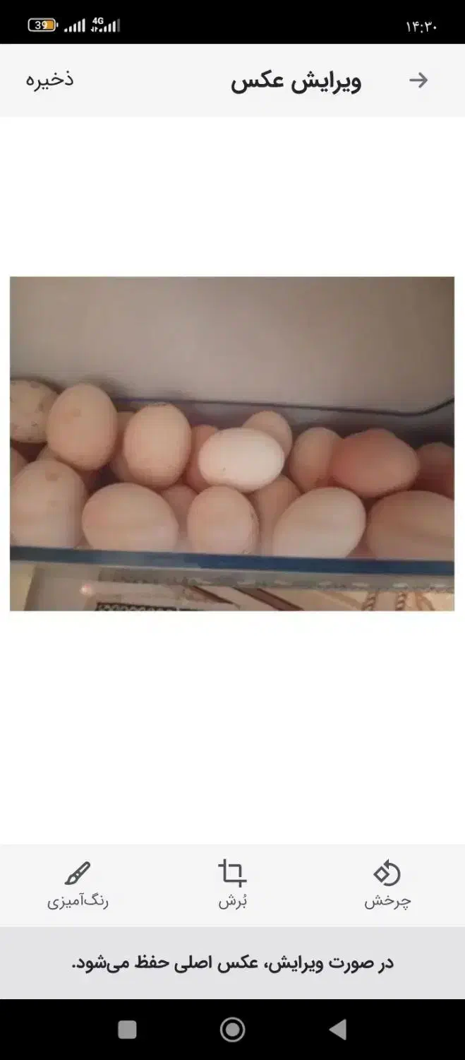 تخم مرغ محلی ارگانیک تازه ارسال رایگان درب منزل|حیوانات مزرعه|مشهد, فرهنگ|دیوار