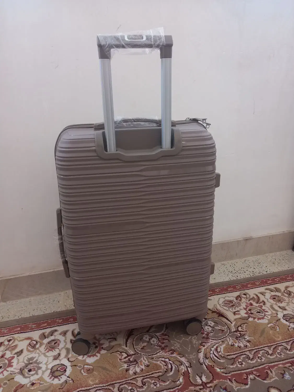 چمدان|کیف، کفش، کمربند|نورآباد, |دیوار