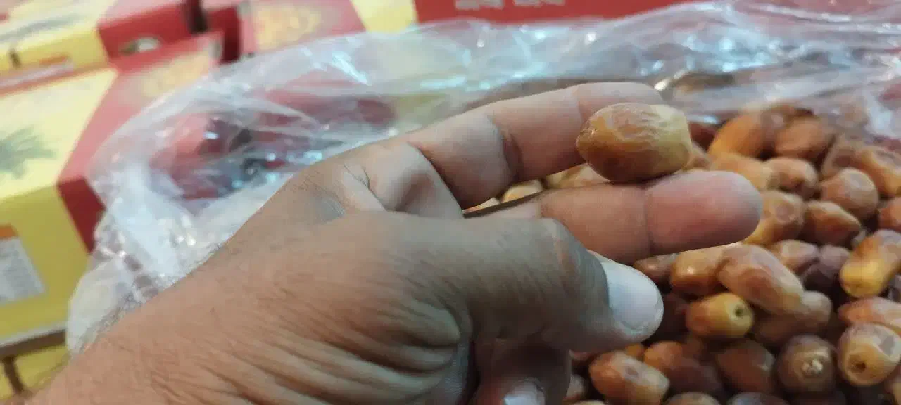 قصب|عمده‌فروشی|تهران, انبار نفت|دیوار