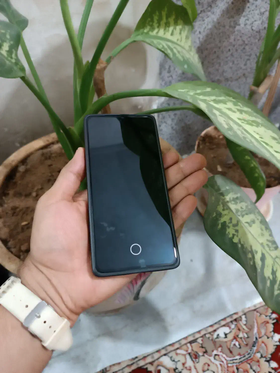 شیائومی Redmi Note 13 Pro با حافظهٔ ۵۱۲ گیگابایت|موبایل|جهرم, |دیوار