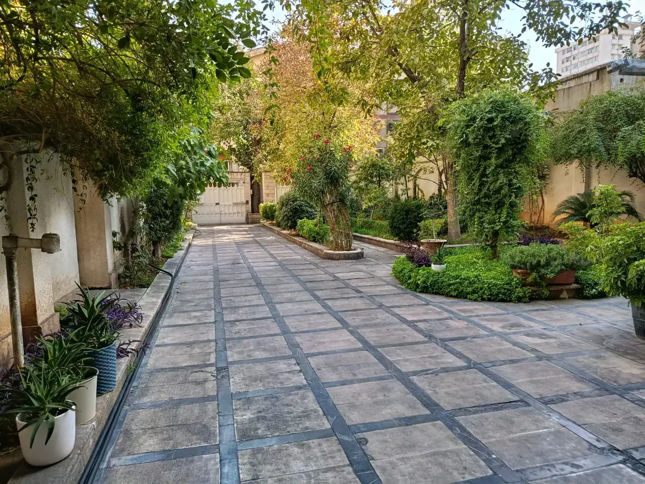 شمال قلهک ۳۰۰ متر تکواحدی/۲پارکینگ ۲ حیاط ۲ تراس|اجارهٔ آپارتمان|تهران, زرگنده|دیوار