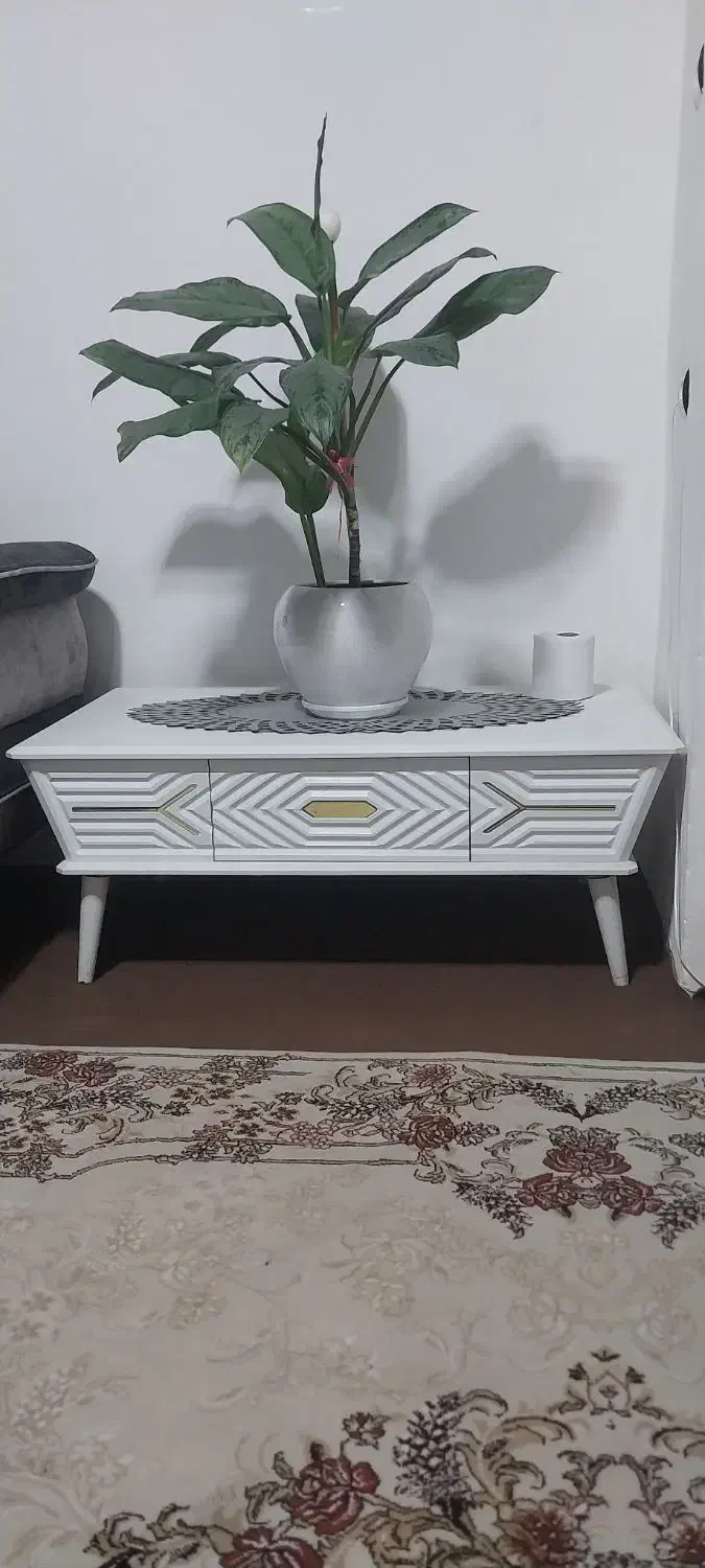 جلو مبلی|مبلمان خانگی و میز عسلی|رشت, فلسطین|دیوار