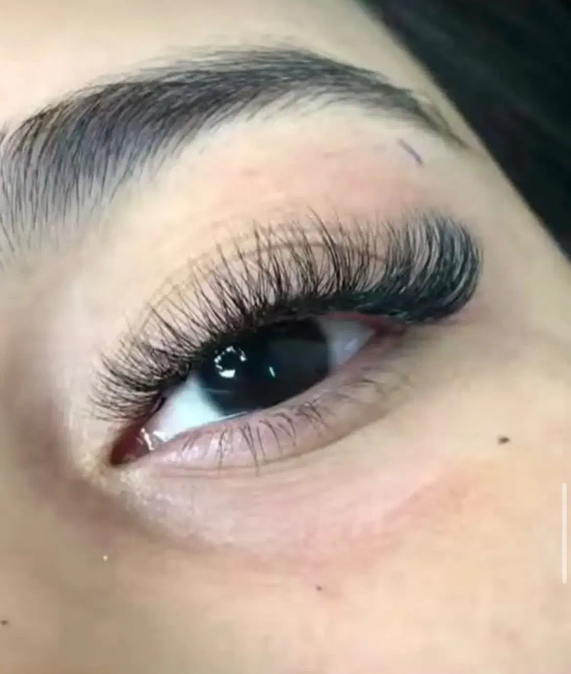 اکستنشن مژه ولیفت لمینت|خدمات آرایشگری و زیبایی|شیراز, شهرک فرهنگیان|دیوار