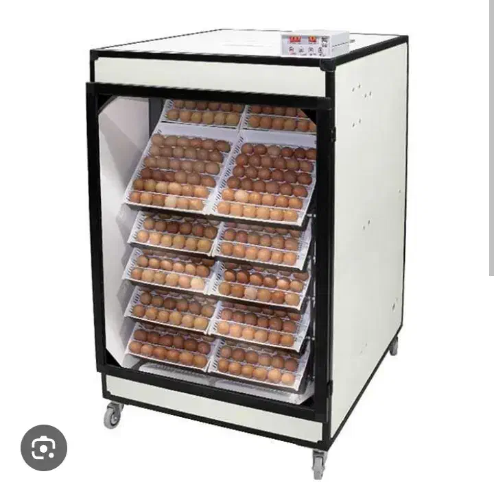 دستگاه جوجه کشی ۱۰۰۸ تایی اسکندری آکبند|ماشینآلات صنعتی|اسالم, |دیوار