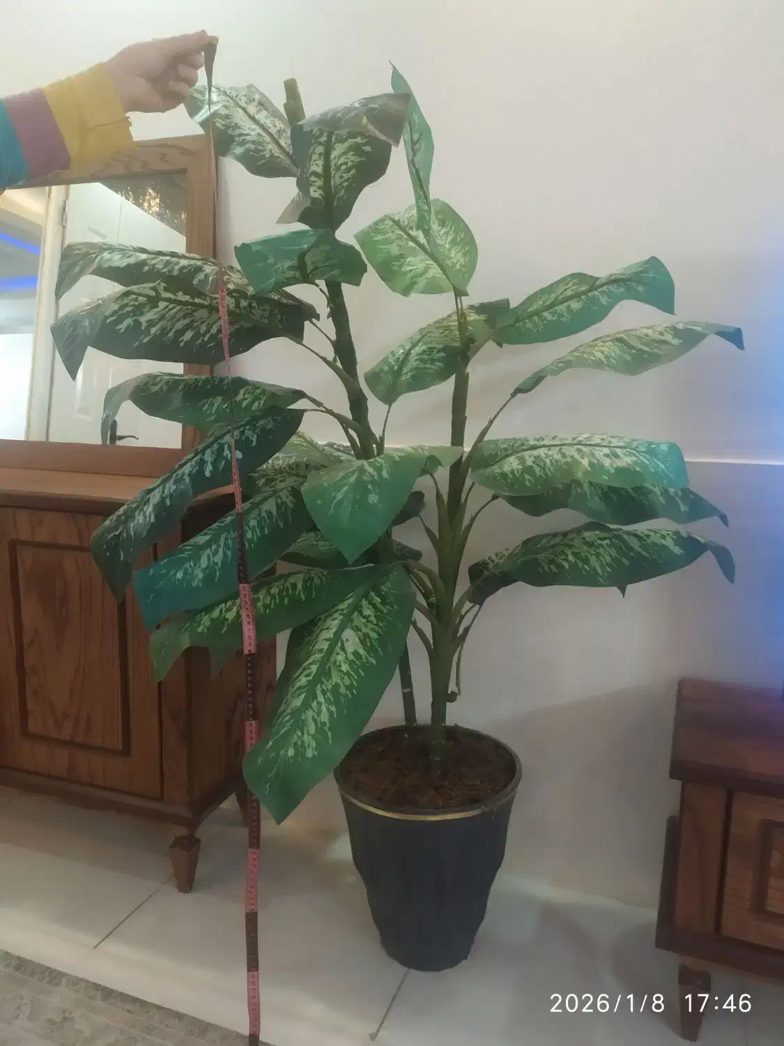 درخچه مصنوعی همراه گلدان|گل مصنوعی|قوچان, |دیوار