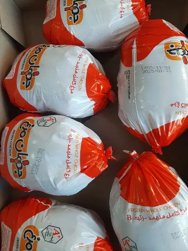 مرغ یخی|خوردنی و آشامیدنی|ایلام, |دیوار