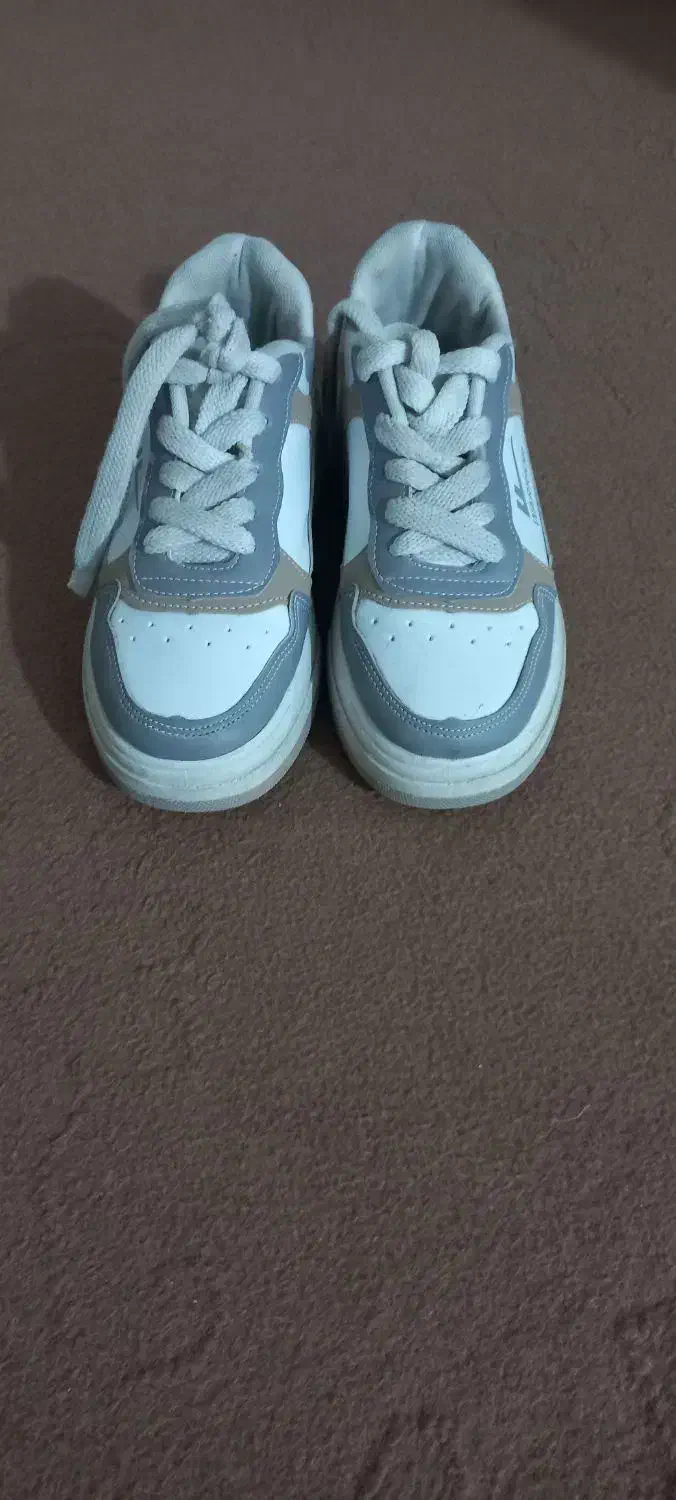 کفش زنانه|کیف، کفش، کمربند|نیشابور, خط کاشمر|دیوار