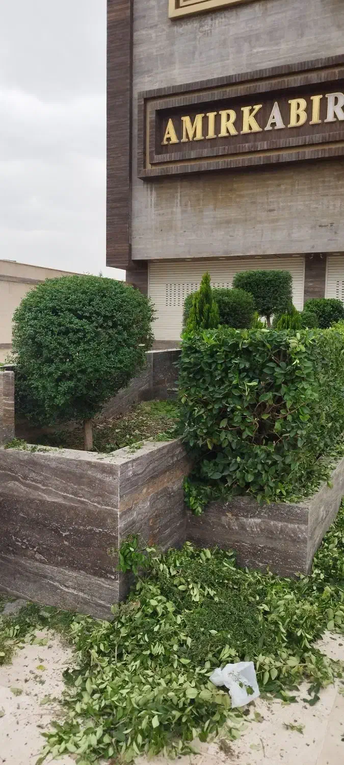 علف تراشی هرس وسمپاشی قطع درخت|خدمات باغبانی و درختکاری|خرمآباد (تنکابن), |دیوار