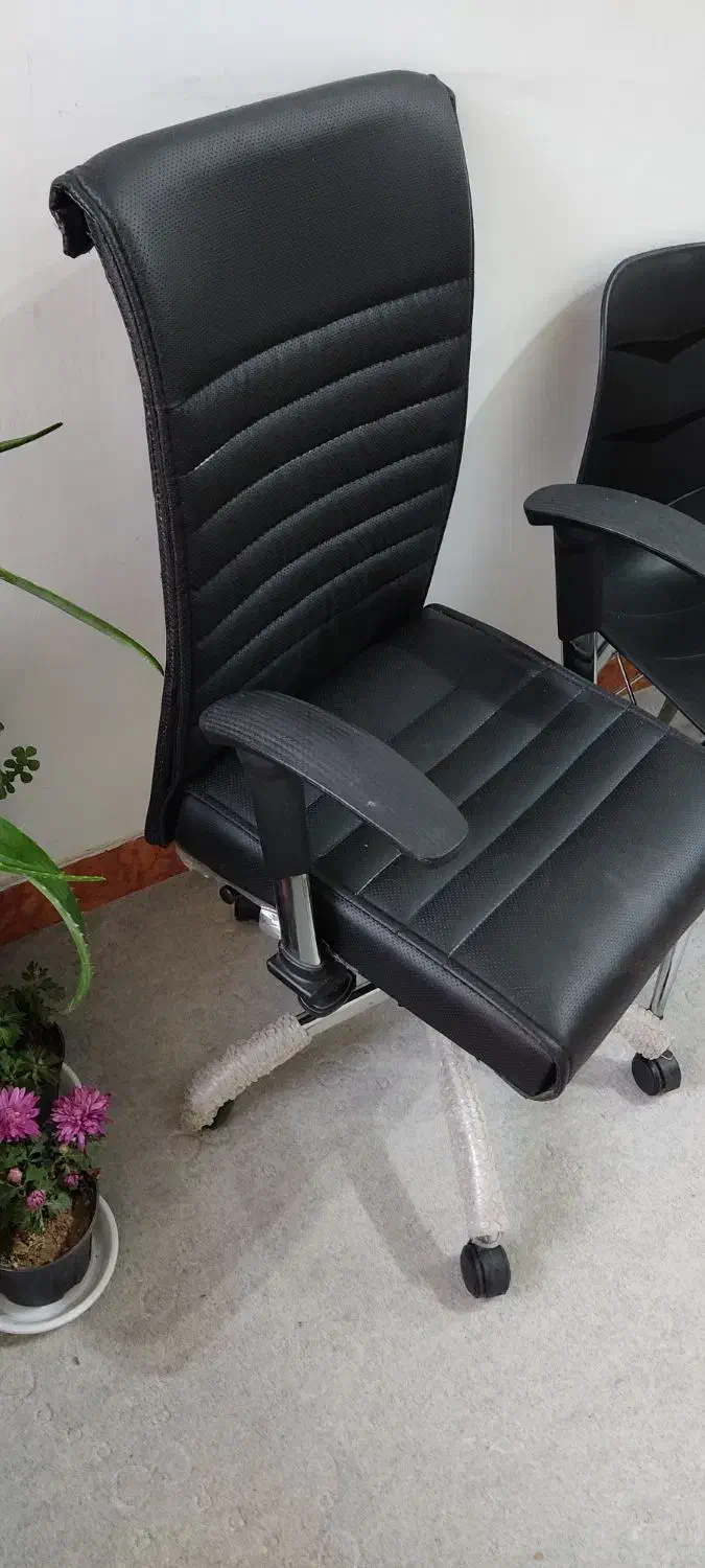 صندلی چرخدار|صندلی و نیمکت|نجفآباد, باهنر|دیوار