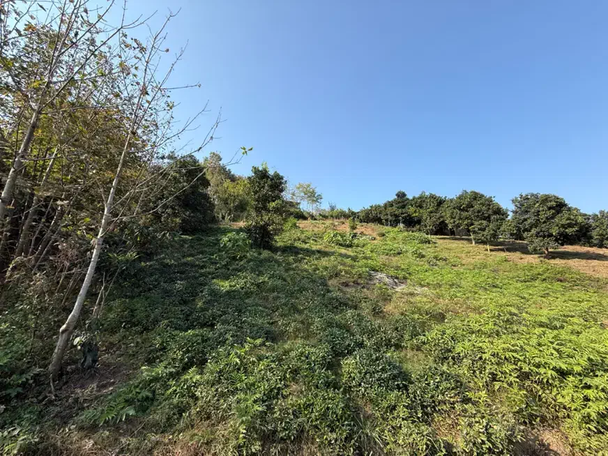 زمین مسکونی|فروش زمین و ملک کلنگی|املش, |دیوار