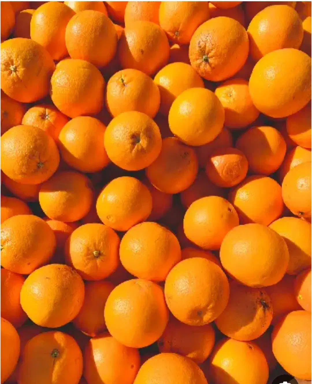 پرتقال و خارو ، درجه یک|خوردنی و آشامیدنی|چرام, |دیوار