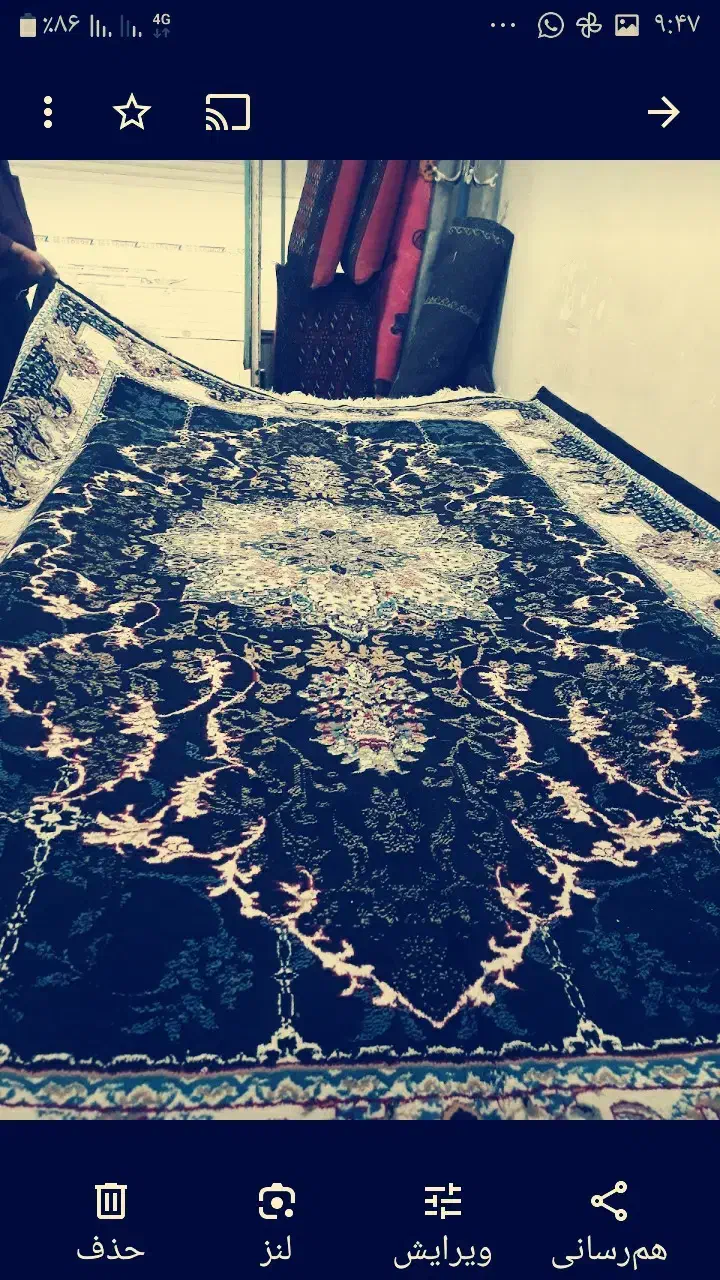 فرش درحدصفرسرمیی|فرش|سبزوار, بیهق شرقی|دیوار