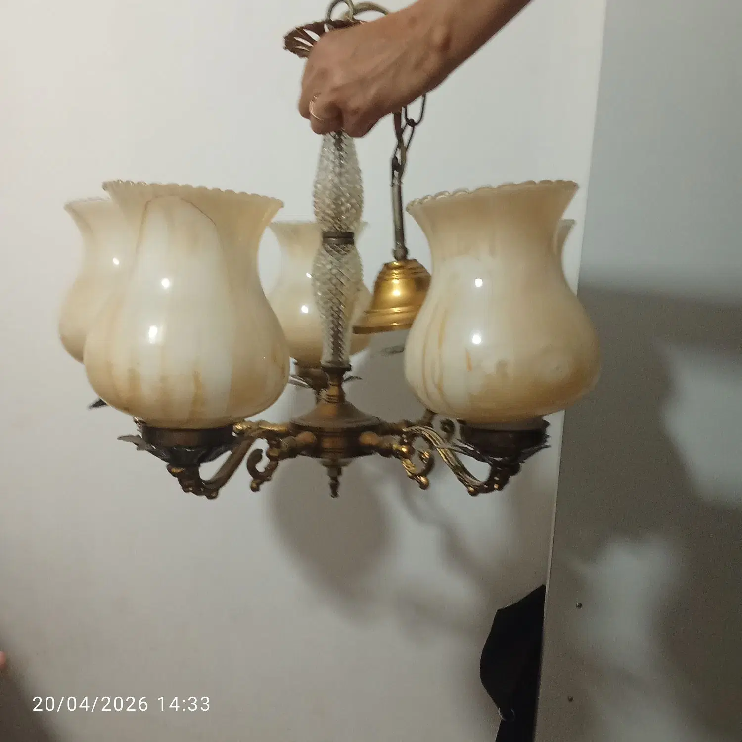 لوستر|لوستر و چراغ آویز|نیشابور, شریعتی|دیوار