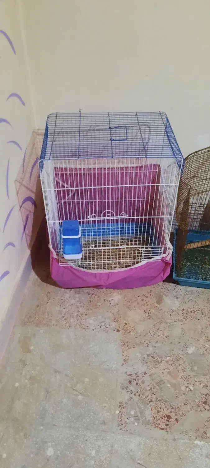 دو عدد قفس پرنده نیروی دریایی نارمک|لوازم جانبی حیوانات|تهران, نیروی دریایی|دیوار