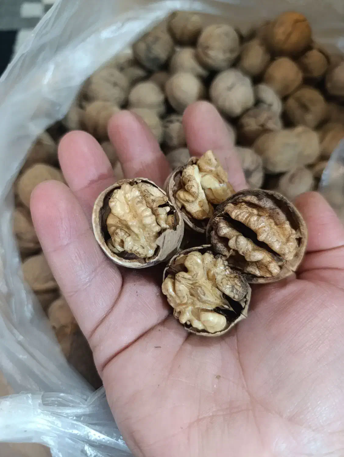 گردو|خوردنی و آشامیدنی|محلات, |دیوار