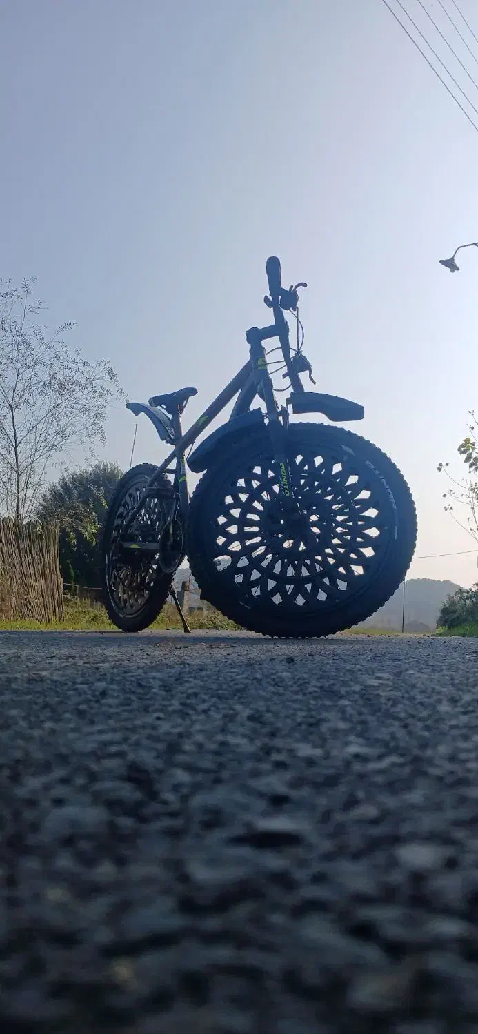 دوچرخه ۲۶|دوچرخه، اسکیت، اسکوتر|رشت, سعدی (تختی)|دیوار