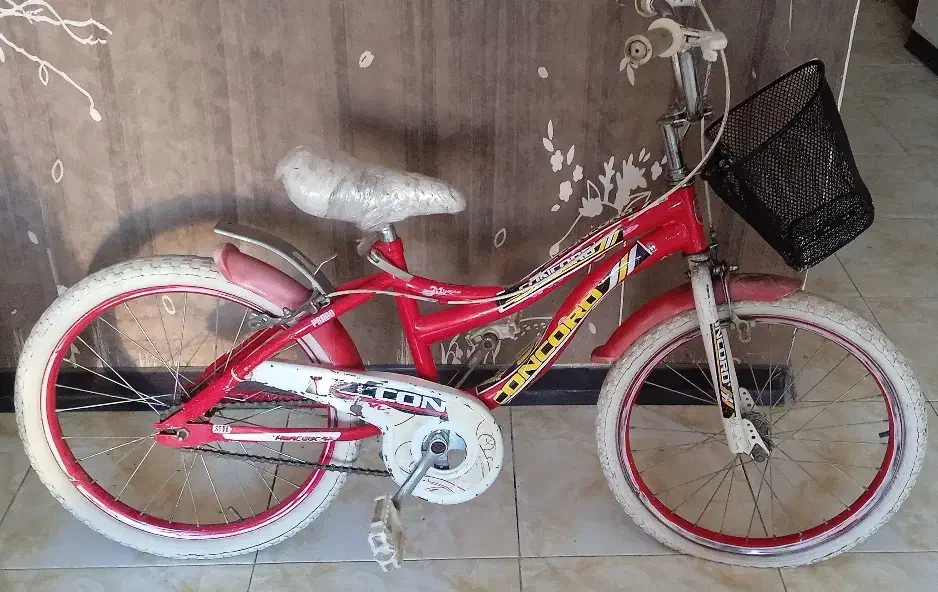 دو چرخه|دوچرخه، اسکیت، اسکوتر|پرند, فاز ۶|دیوار