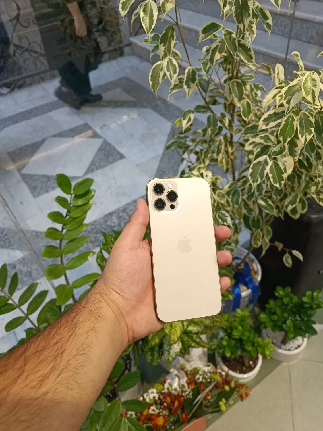 IPHONE 12 MAX 256GB ZAA|موبایل|بجنورد, |دیوار