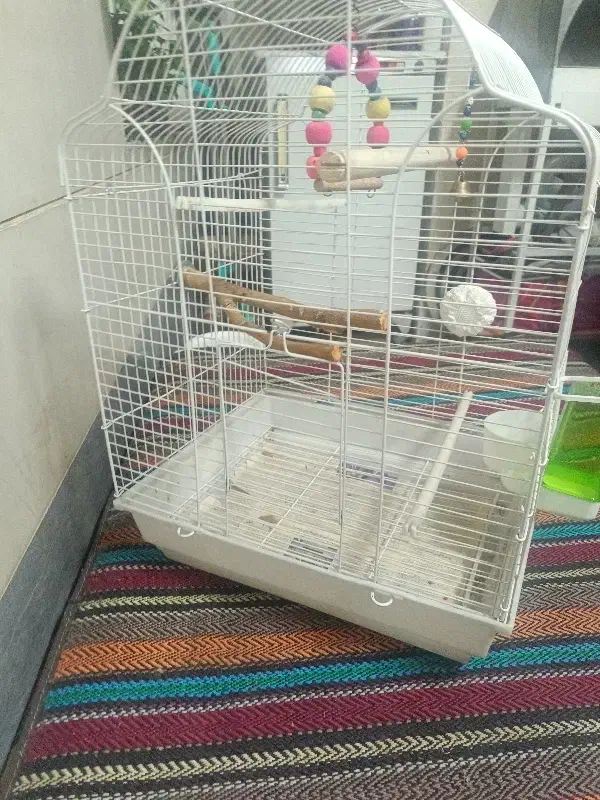 قفس پرنده|لوازم جانبی حیوانات|کرج, عظیمیه|دیوار