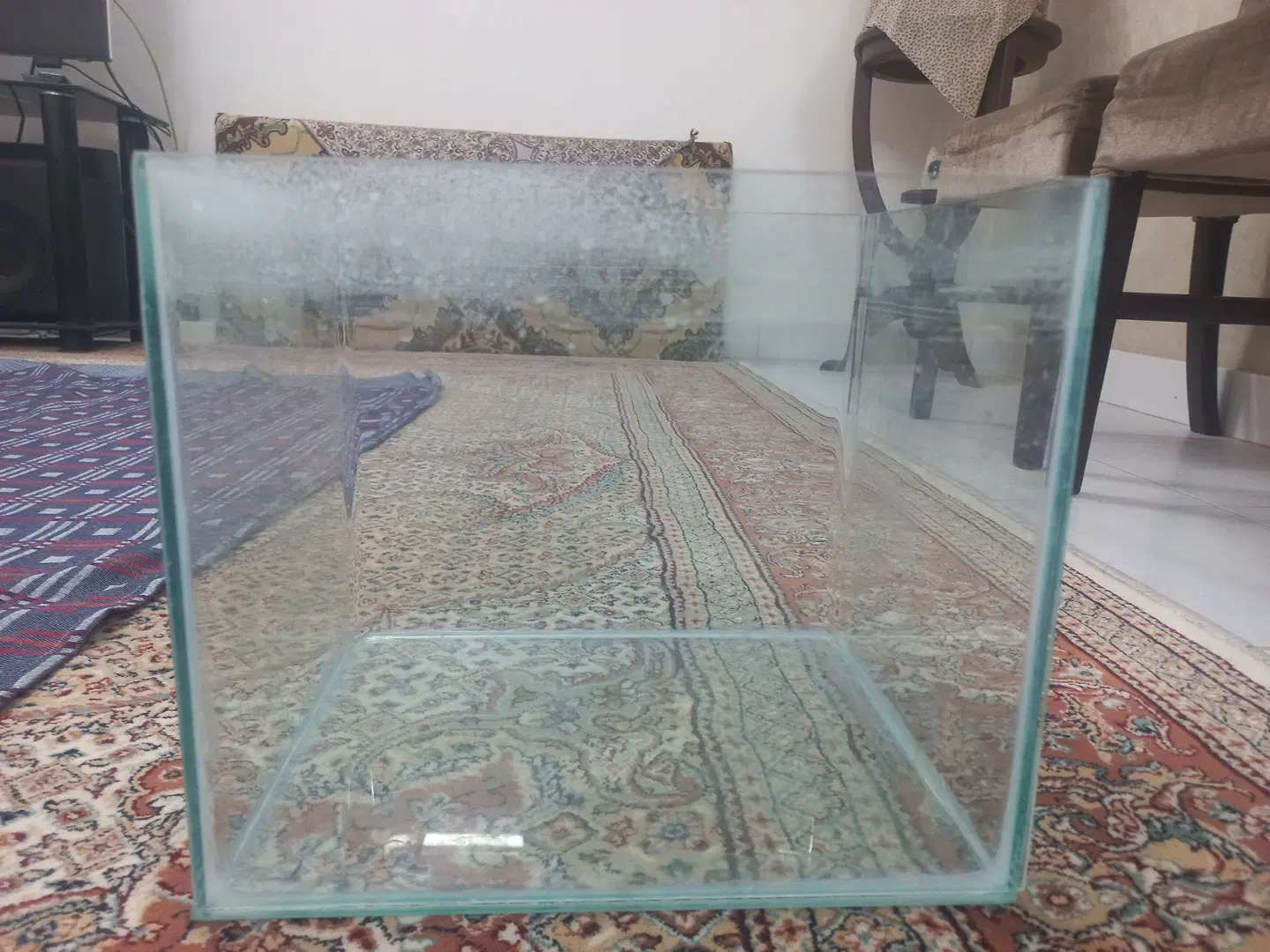 آکواریم|ماهی|بیرجند, |دیوار