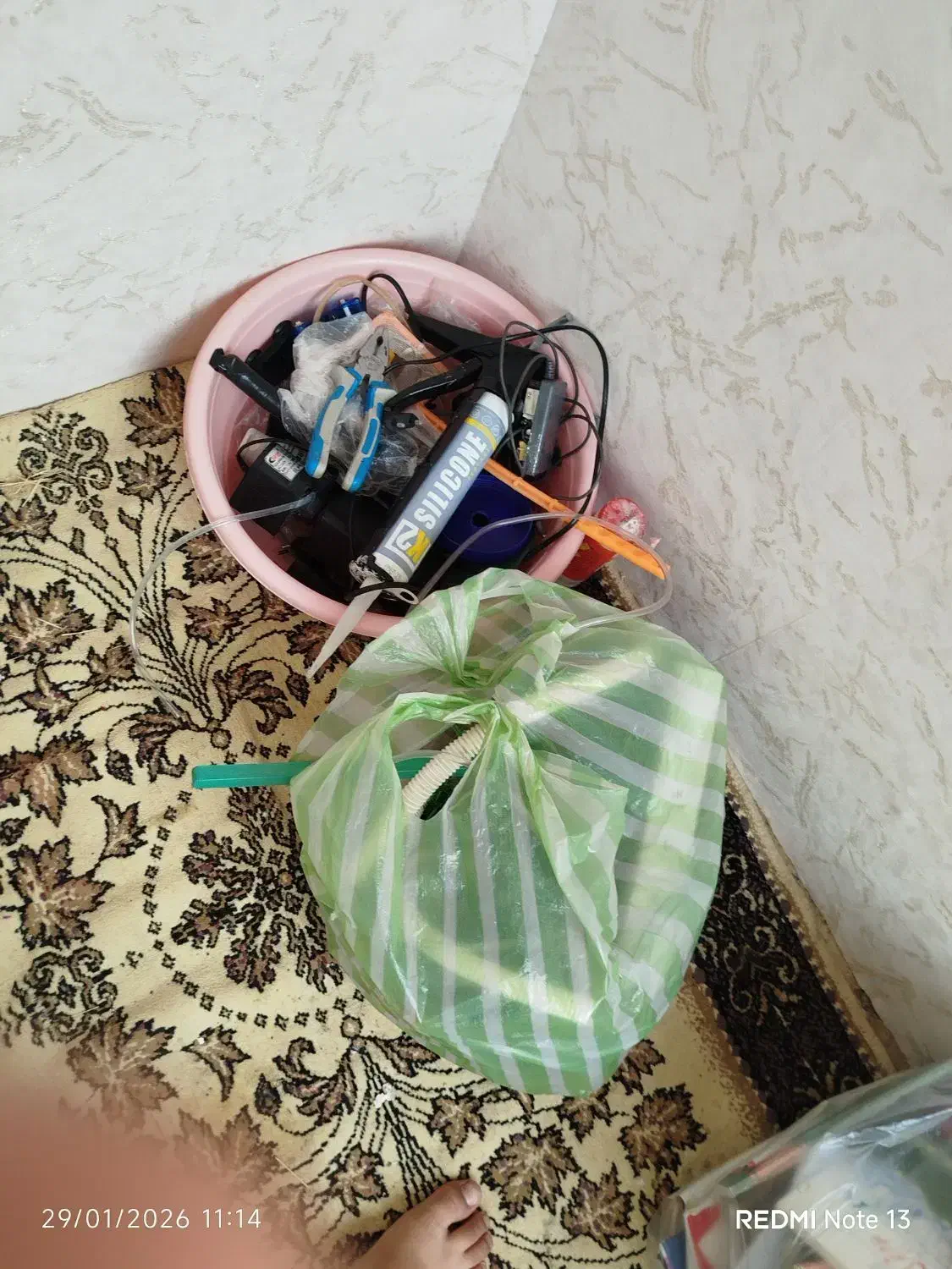 اکواریوم|ماهی|خرمآباد, |دیوار