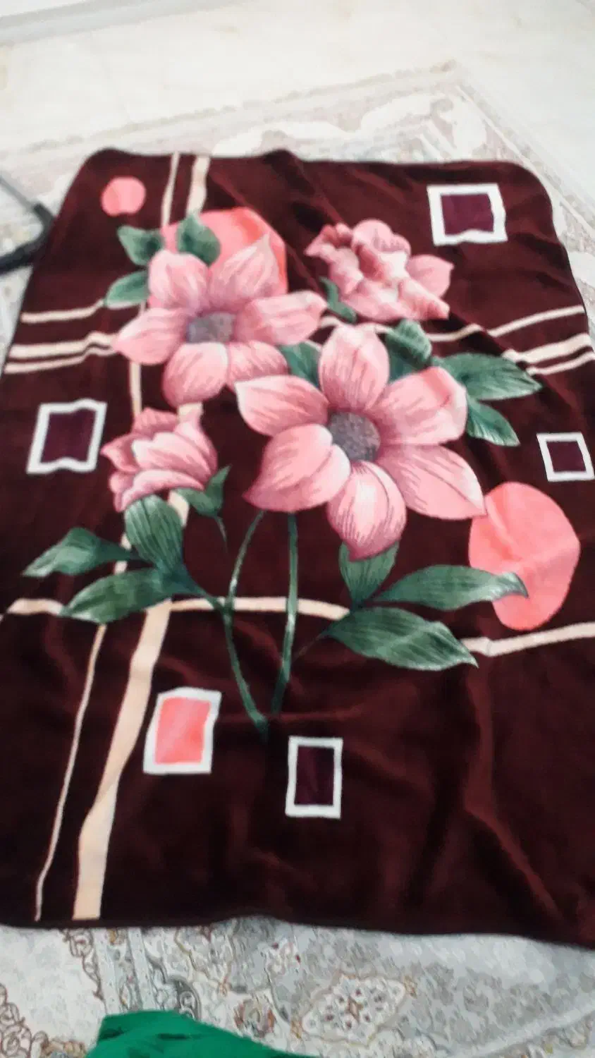 کوله پشتی وغیره|کیف، کفش، کمربند|بوکان, |دیوار