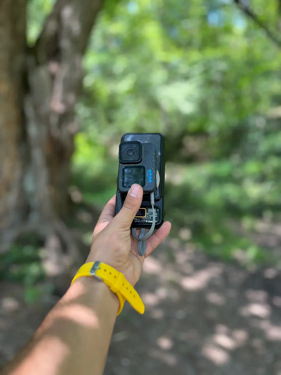 گوپرو Hero12black|دوربین عکاسی و فیلم‌برداری|کاشمر, |دیوار