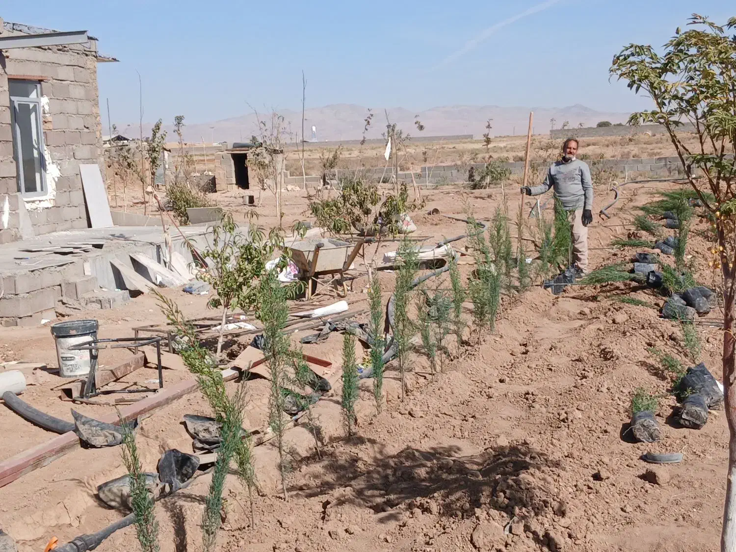 باغ پانصد و ۱۰۰۰ متری ۱ ساعته تهران|فروش دفتر صنعتی، کشاورزی، تجاری|زرندیه, |دیوار