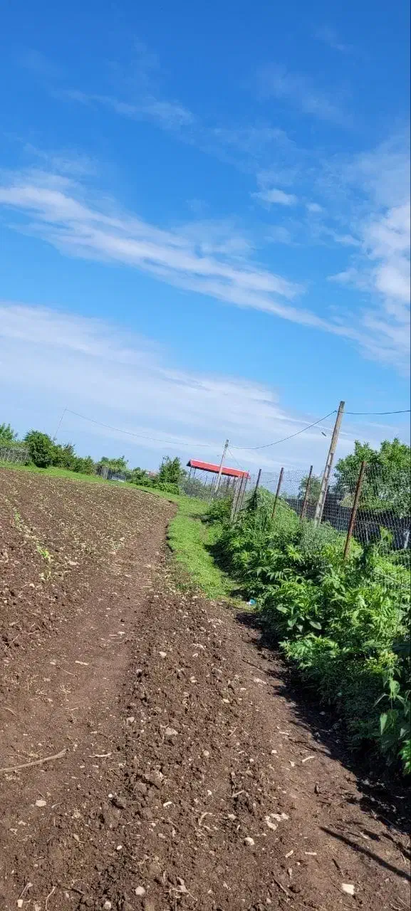 14000متر زمین مسکونی باغی بابر200متر لیسار تالش|فروش زمین و ملک کلنگی|لیسار, |دیوار