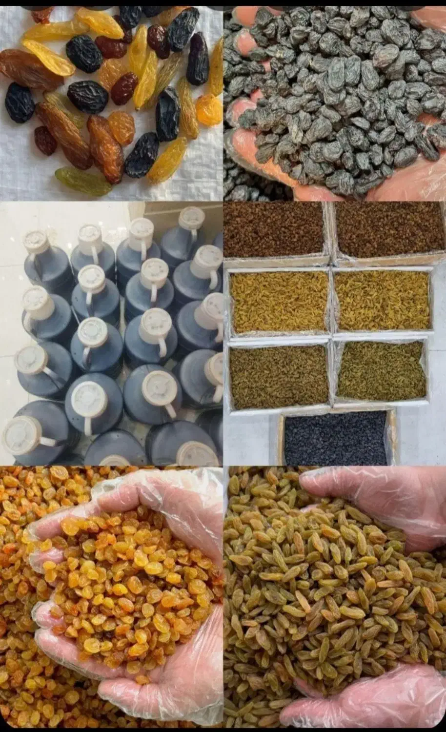 کشمش افتابی سایه خشک مویز شیره خرما انگور شانی|خوردنی و آشامیدنی|تهران, میدان میوه و ترهبار مرکزی|دیوار