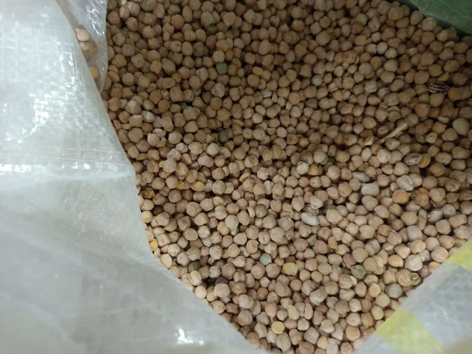 لوبیا قرمز،لوبیاچیتی،نخوددرشت،عدس ریزدرجه یک سرحد|خوردنی و آشامیدنی|مرودشت, تامین اجتماعی‎|دیوار