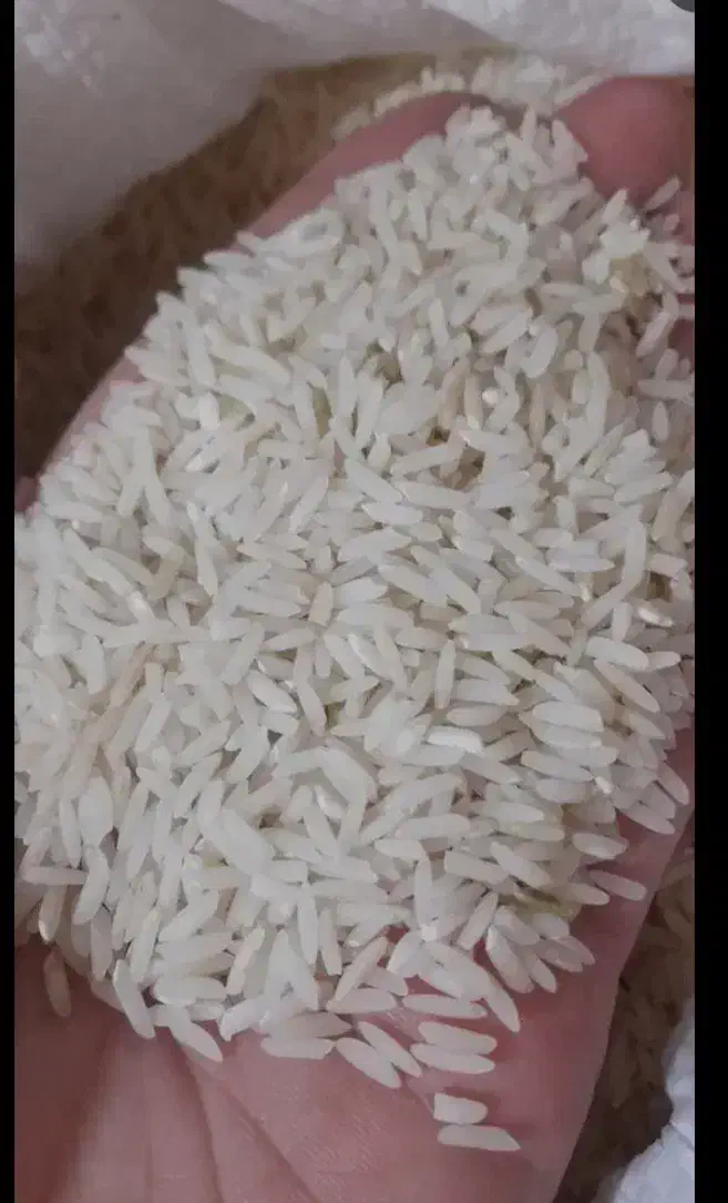 برنج هاشمی|خوردنی و آشامیدنی|تولم شهر, |دیوار