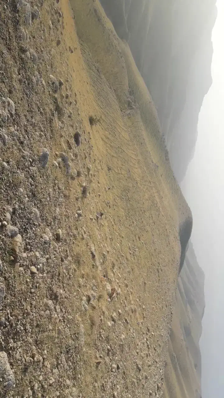 معدن مخلوط کوهی|فروش دفتر صنعتی، کشاورزی، تجاری|رامشیر, |دیوار