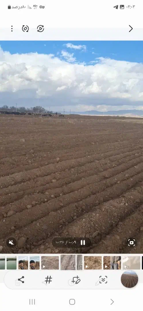 اجاره زمین  کشاورزی|اجارهٔ دفتر صنعتی، کشاورزی، تجاری|قره پشتلو, |دیوار