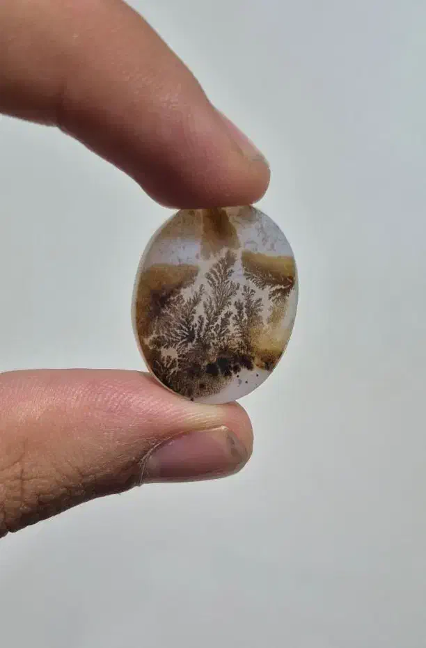 شجر قائن مناسب انگشتر و پلاک و دستبندهای کلکسیونی|جواهرات|تبریز, |دیوار