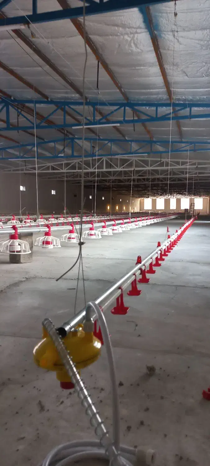 فروش آبخوری و دانخوری گوشتی|لوازم جانبی حیوانات|آمل, |دیوار