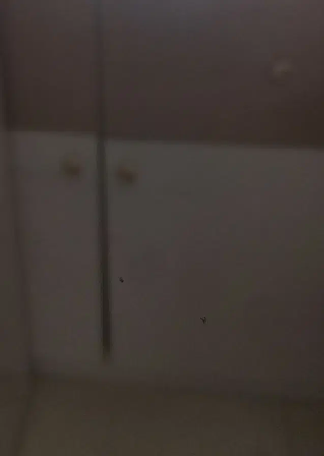 کمد دیواری باکسی|جاکفشی، کمد، دراور|اهواز, فولادشهر|دیوار