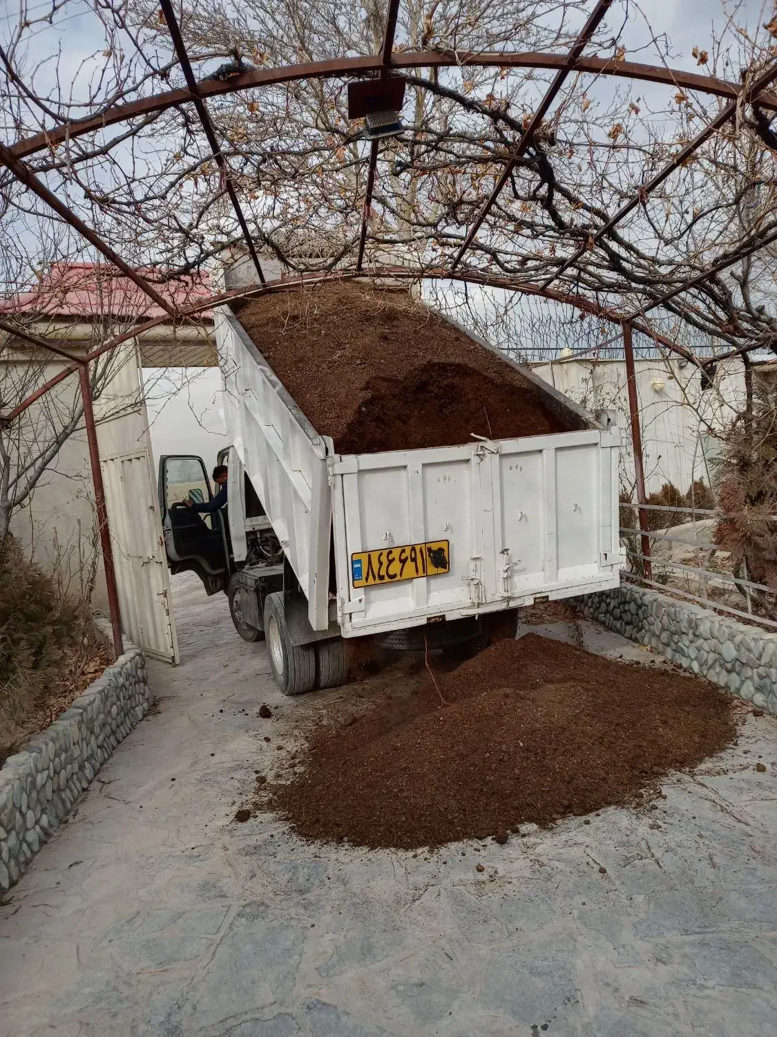 کود گاوی وگوسفندی|خدمات باغبانی و درختکاری|صباشهر, |دیوار