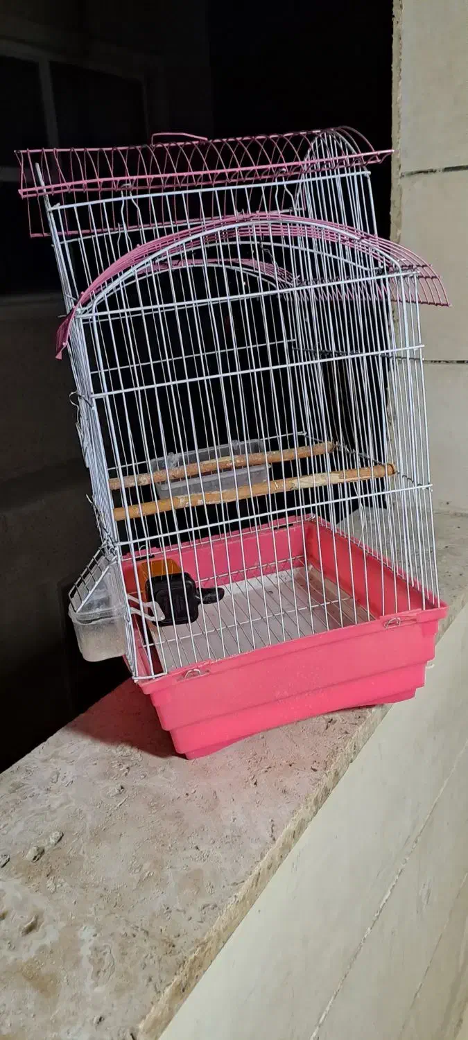 قفس پرنده|لوازم جانبی حیوانات|محمدشهر, ولدآباد|دیوار