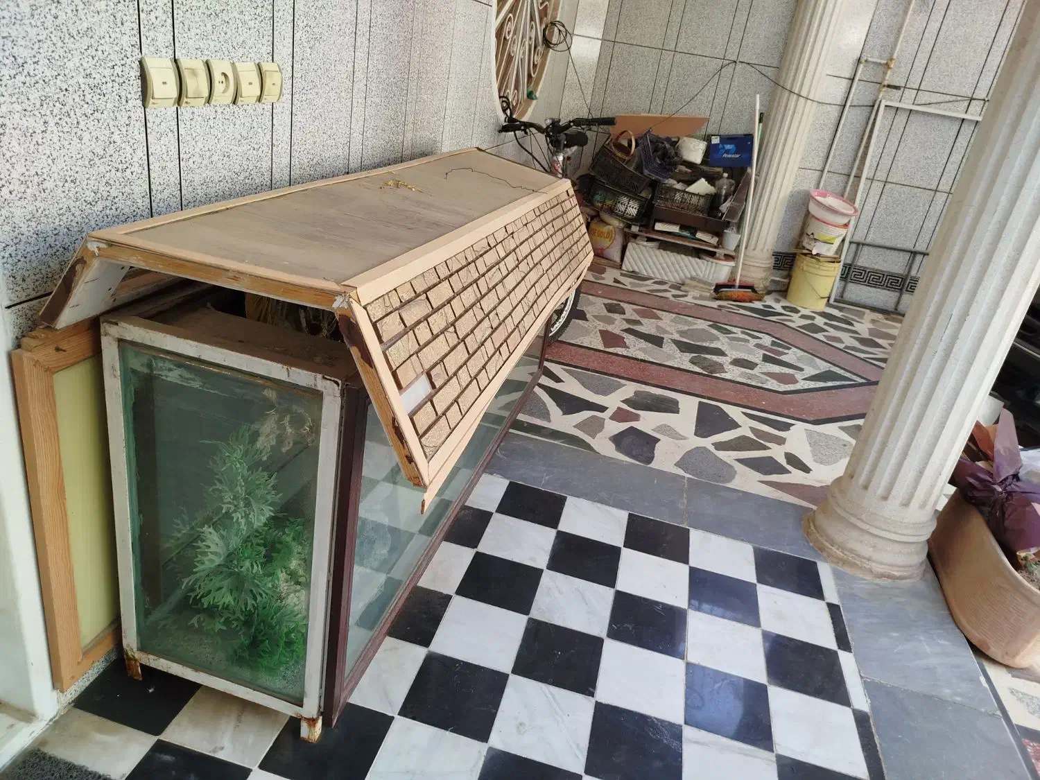 اکواریوم|ماهی|دزفول, |دیوار