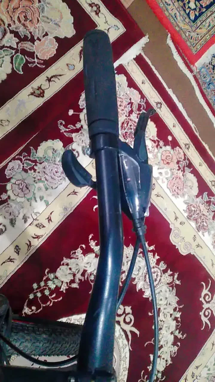 دوچرخه 29|دوچرخه، اسکیت، اسکوتر|قیدار, |دیوار