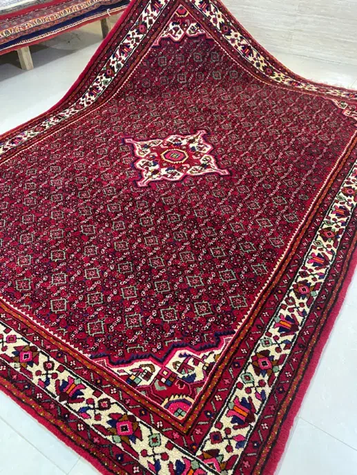 تک ۹ متری ازندریان گوشتدار و سالم تک|فرش|همدان, |دیوار
