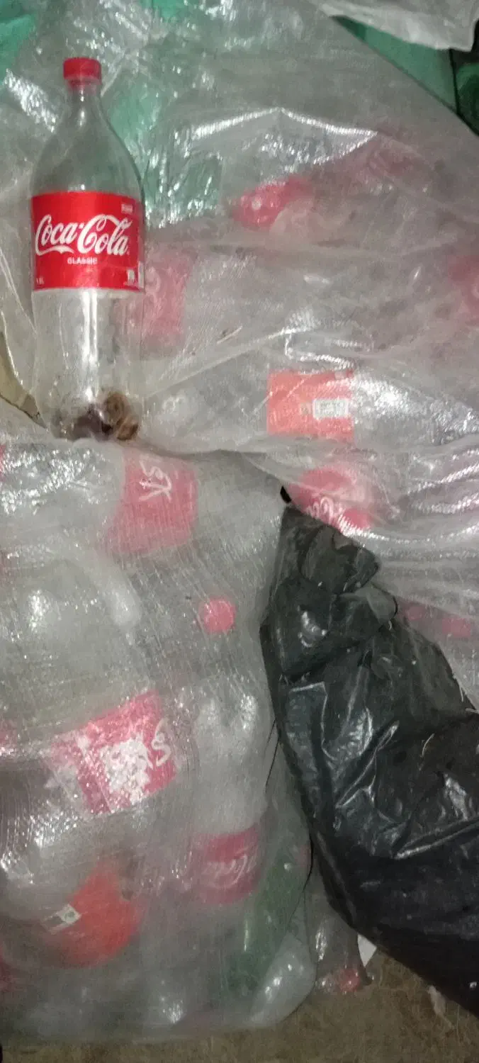 بطریخالینوشابه|ظروف نگهدارنده، پلاستیکی، یکبارمصرف|زاهدان, |دیوار