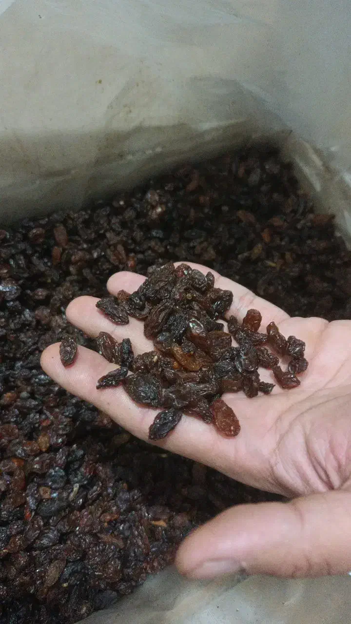 کشمش آفتابی کاشمر|خوردنی و آشامیدنی|ورامین, ورامین|دیوار