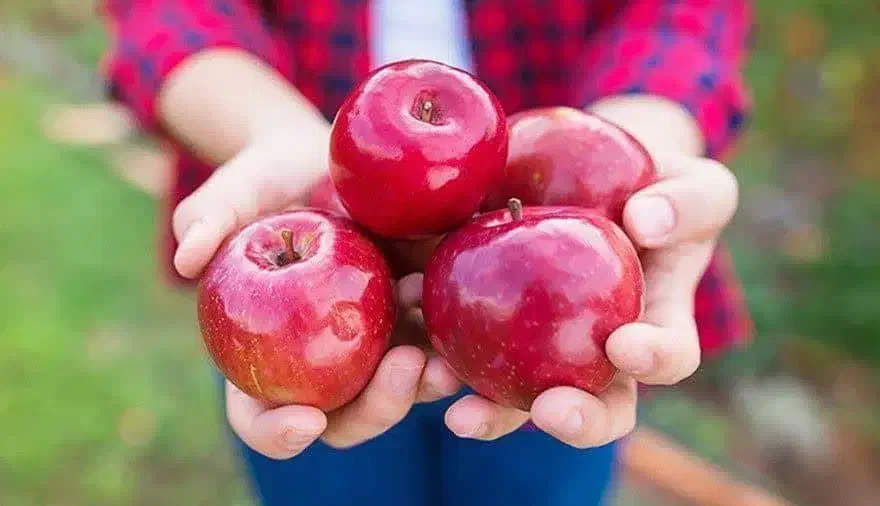وام ازدواج|خدمات مالی، حسابداری، بیمه|اراک, |دیوار