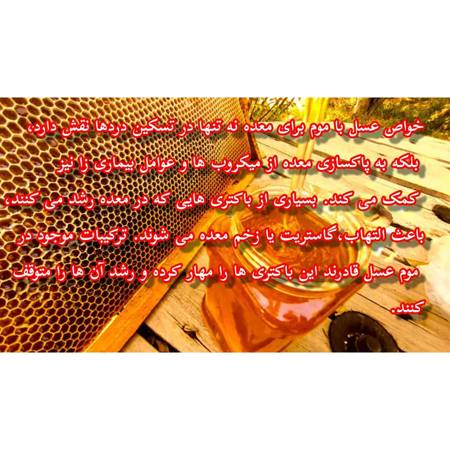 عسل چهل گیاه با نتیجه آزمایش پرولین و ساکارز|خوردنی و آشامیدنی|شیراز, ماه فیروزان|دیوار